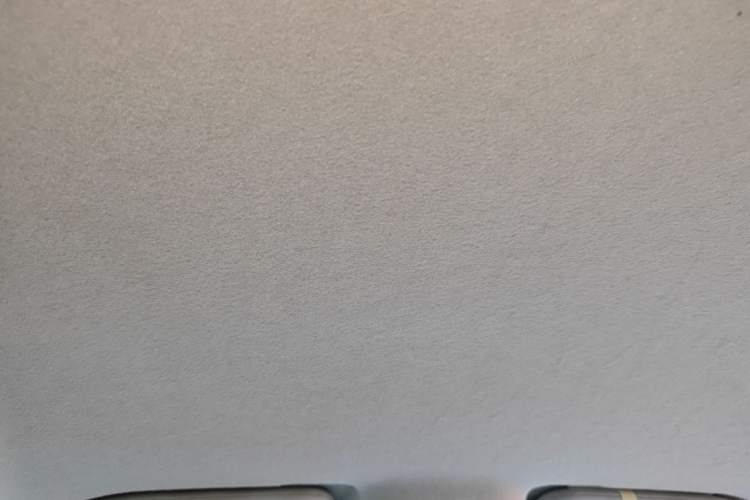 Used BYD Yuan Pro 2021 401 km Luxury Version Headliner