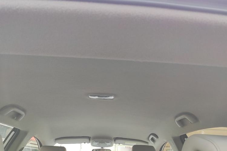 Used BYD Yuan Pro 2021 "Love for a Lifetime" Edition Headliner