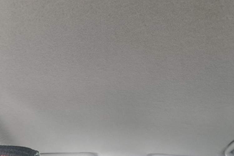 Used BYD Yuan Pro 2021 401 km Luxury Version Headliner