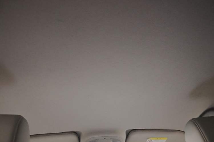 Used BYD Yuan Pro 2021 401 km Luxury Version Headliner