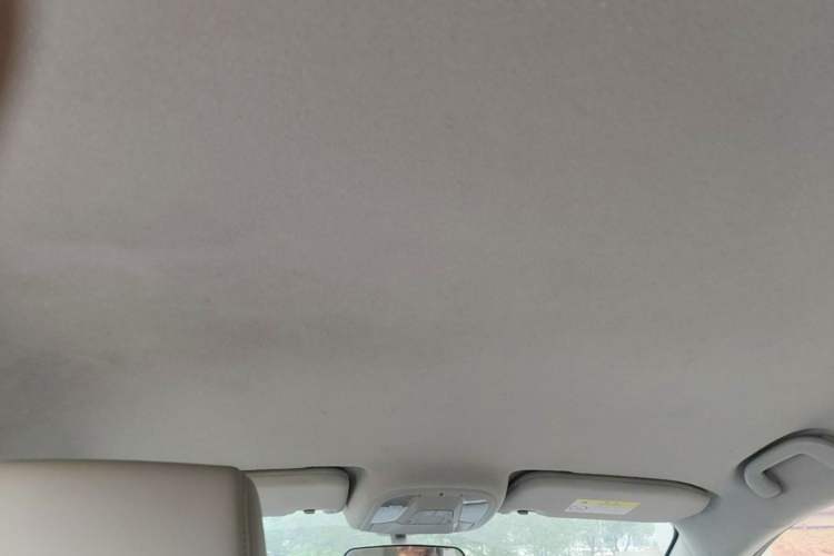 Used BYD Yuan Pro 2021 401 km Luxury Version Headliner