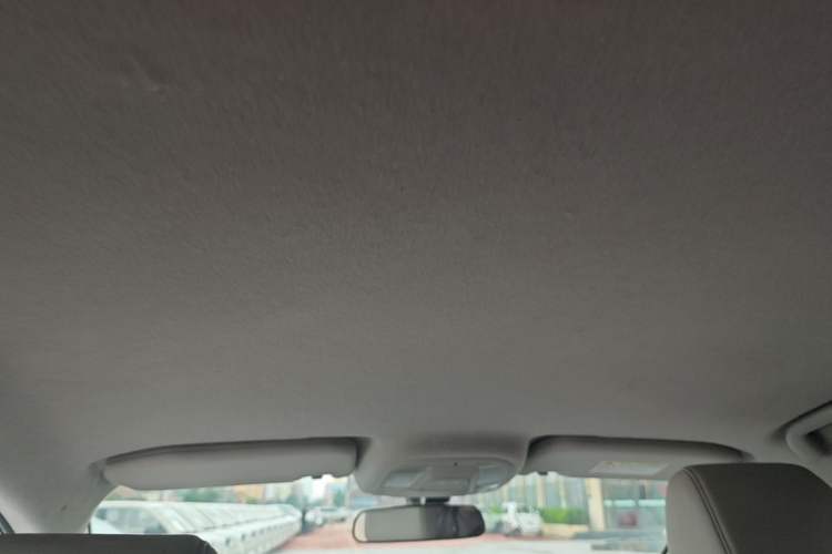Used BYD Yuan Pro 2021 "Love for a Lifetime" Edition Headliner