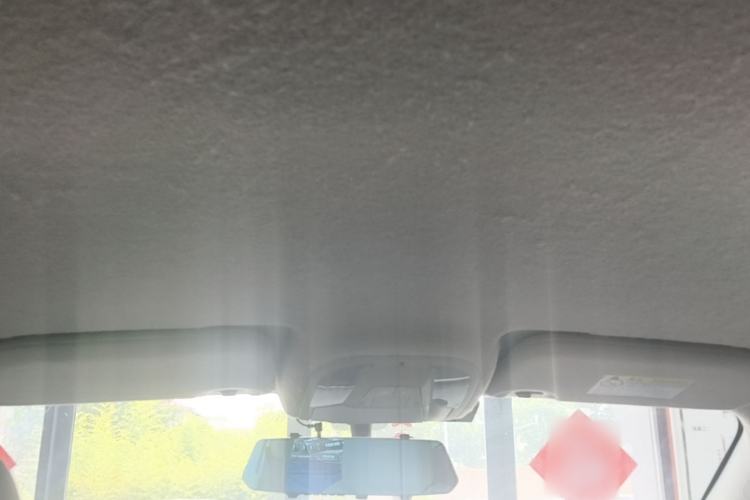 Used BYD Yuan Pro 2021 401 km Luxury Version Headliner