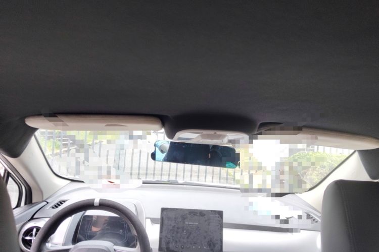 Used BYD Yuan Pro 2021 401 km Luxury Version Headliner