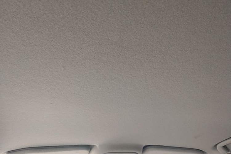 Used BYD Yuan Pro 2021 401 km Luxury Version Headliner