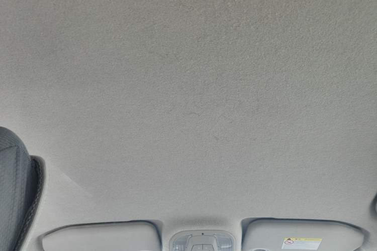 Used BYD Yuan Pro 2021 401 km Luxury Version Headliner