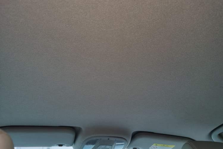 Used BYD Yuan Pro 2021 401 km Luxury Version Headliner