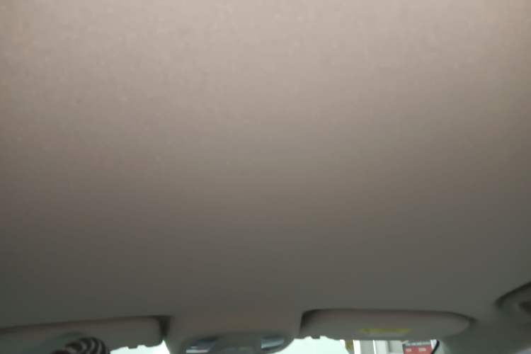 Used BYD Yuan Pro 2021 "Love for a Lifetime" Edition Headliner