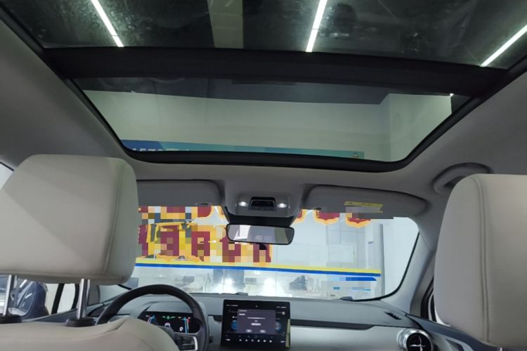 Used BYD Yuan Pro 2021 401 km Deluxe Version Headliner