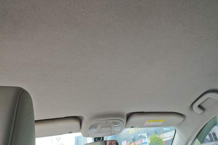 Used BYD Yuan Pro 2021 401 km Luxury Version Headliner