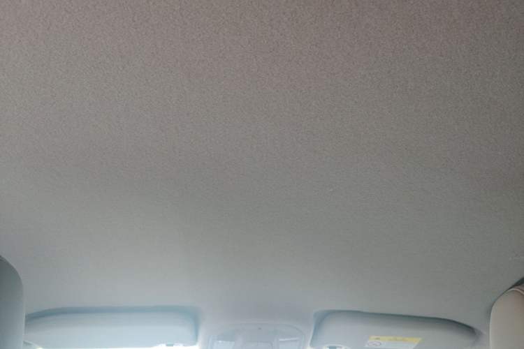 Used BYD Yuan Pro 2021 401 km Deluxe Version Headliner