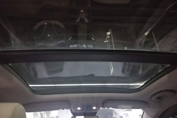 Used BYD Yuan Pro 2021 401 km Deluxe Version Headliner