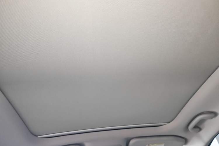 Used BYD Yuan Pro 2021 Lifetime Edition Headliner