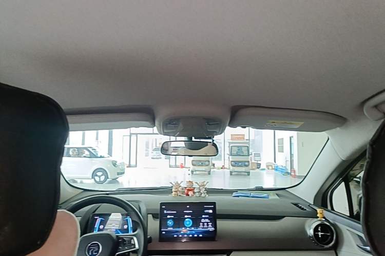 Used BYD Yuan Pro 2021 401 km Luxury Version Headliner