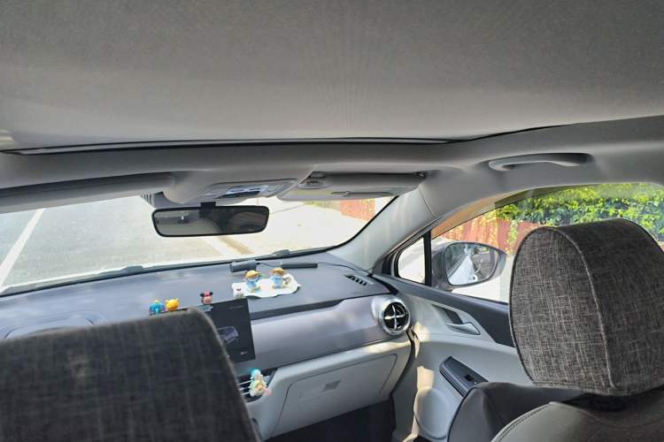 Used BYD Yuan Pro 2021 401 km Deluxe Version Headliner