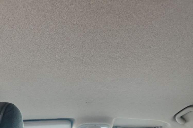 Used BYD Yuan Pro 2021 401 km Luxury Version Headliner