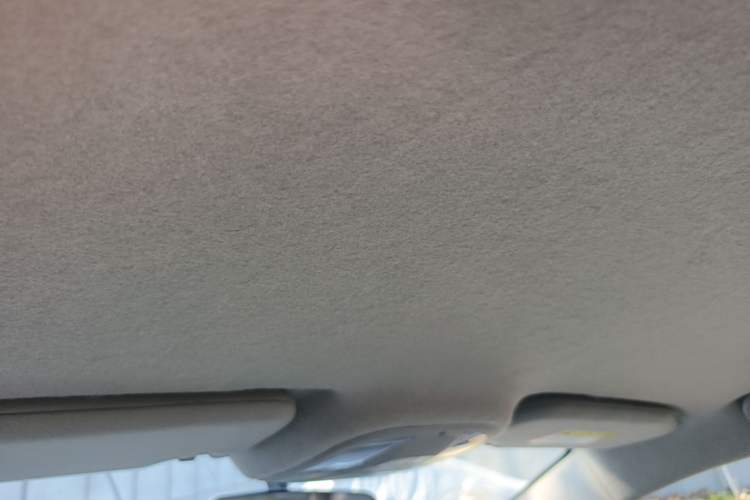 Used BYD Yuan Pro 2021 401 km Luxury Version Headliner