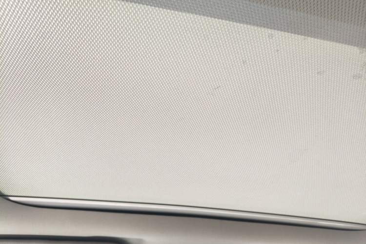 Used BYD Yuan Pro 2021 401 km Deluxe Version Headliner