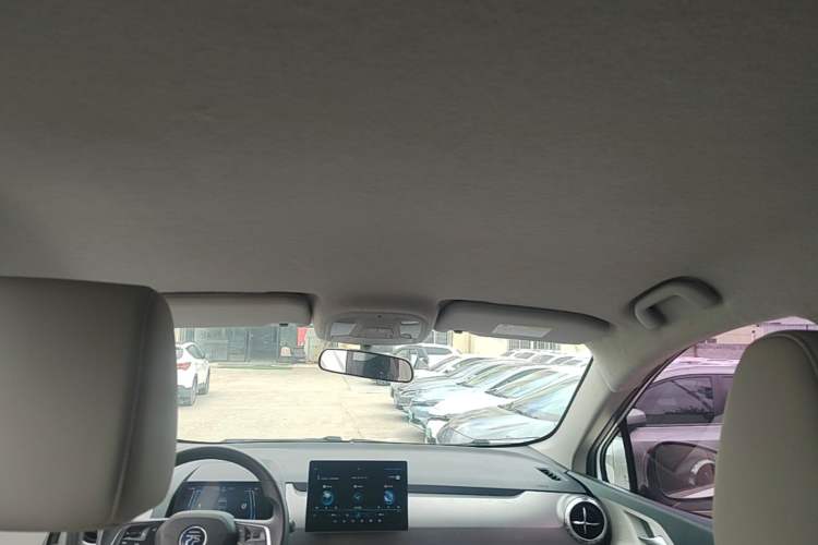 Used BYD Yuan Pro 2021 "Love for a Lifetime" Edition Headliner
