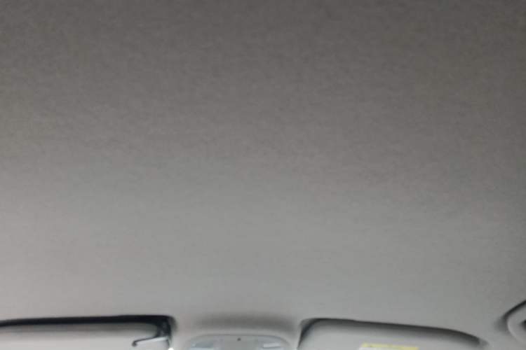 Used BYD Yuan Pro 2021 401 km Luxury Version Headliner