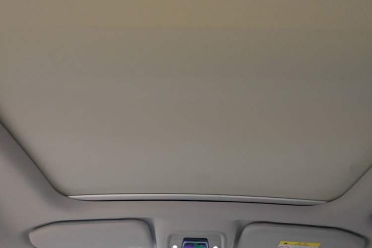 Used BYD Yuan Pro 2021 401 km Deluxe Version Headliner