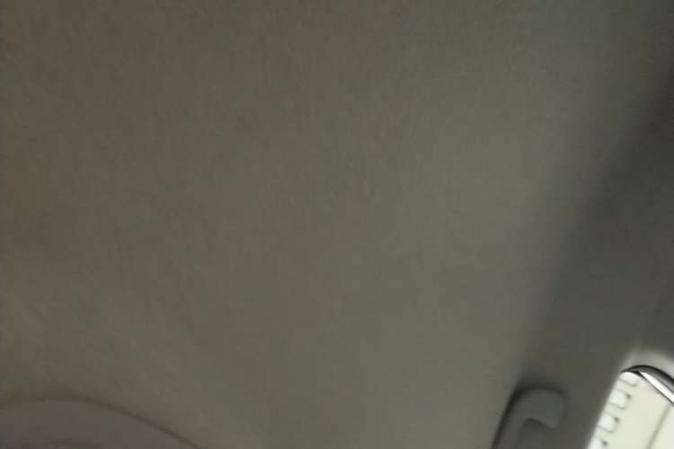Used BYD Yuan Pro 2021 401 km Luxury Version Headliner