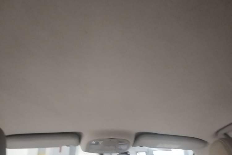 Used BYD Yuan Pro 2021 "Love for a Lifetime" Edition Headliner