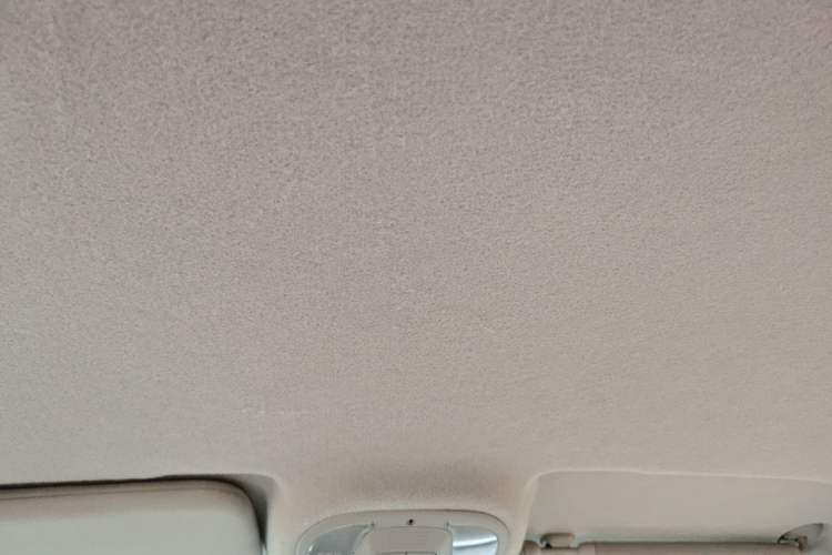 Used BYD Yuan Pro 2021 401 km Luxury Version Headliner