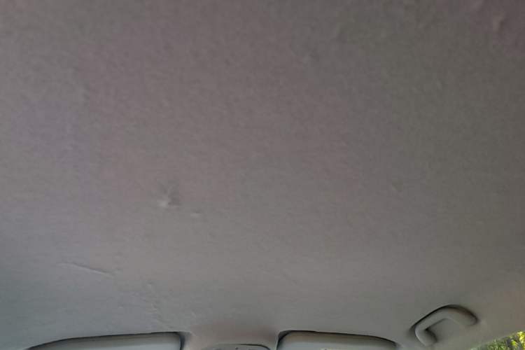 Used BYD Yuan Pro 2021 401 km Luxury Version Headliner