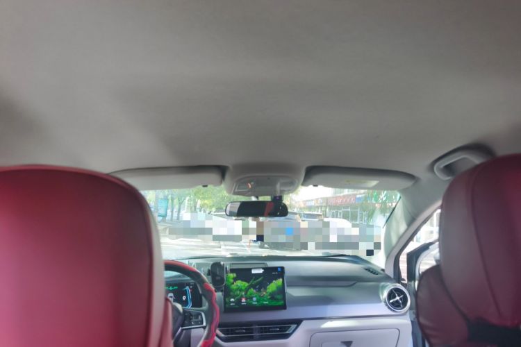 Used BYD Yuan Pro 2021 401 km Luxury Version Headliner