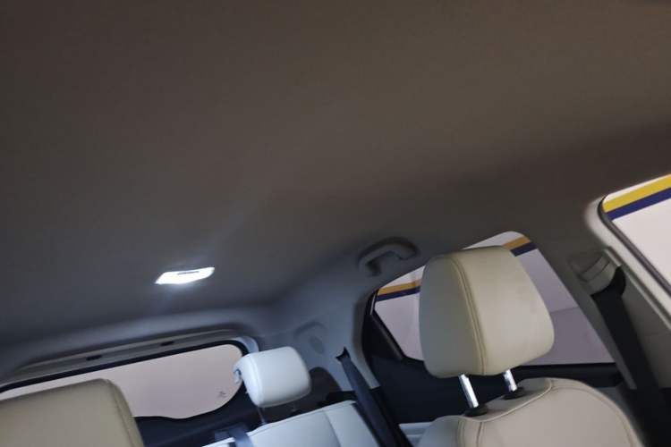 Used BYD Yuan Pro 2021 "Love for a Lifetime" Edition Headliner