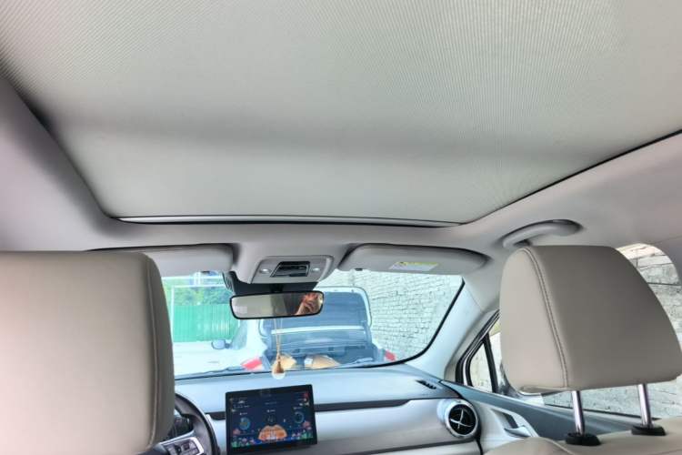 Used BYD Yuan Pro 2021 Lifetime Edition Headliner