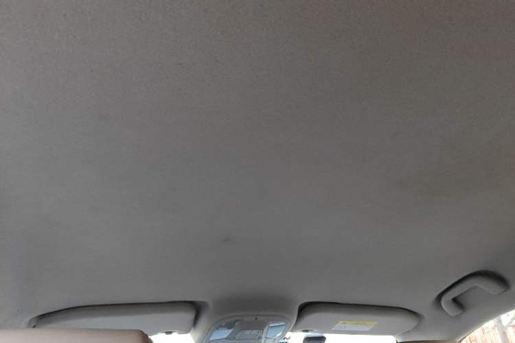 Used BYD Yuan Pro 2021 401 km Luxury Version Headliner