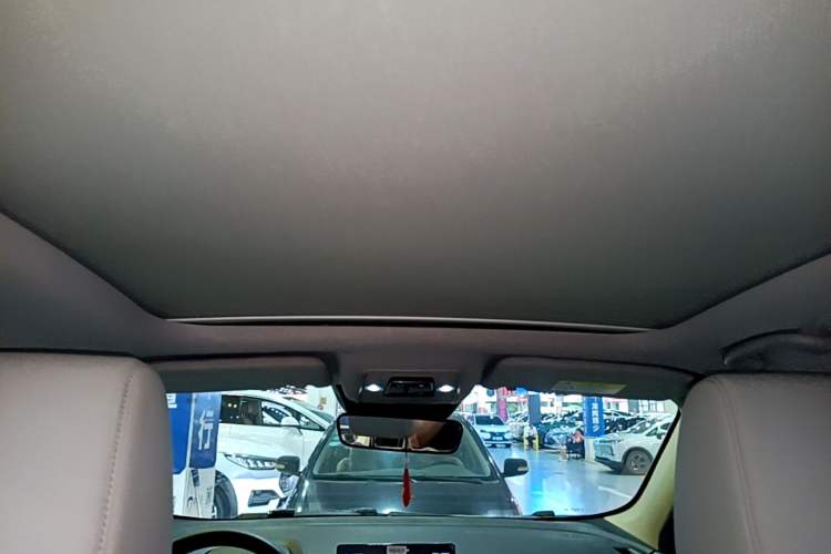 Used BYD Yuan Pro 2021 Lifetime Edition Headliner
