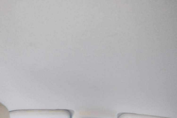 Used BYD Yuan Pro 2021 401 km Luxury Version Headliner