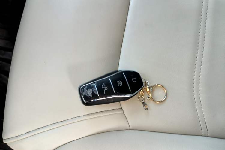 Used BYD Yuan Pro 2021 401 km Luxury Version Interior 1