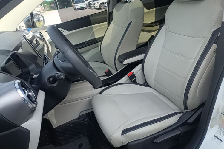 Used BYD Yuan Pro 2021 401 km Deluxe Version Left Front Seat
