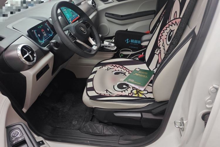 Used BYD Yuan Pro 2021 401 km Luxury Version Left Front Seat