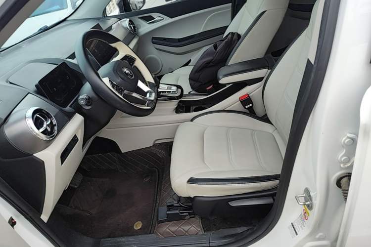 Used BYD Yuan Pro 2021 401 km Deluxe Version Left Front Seat
