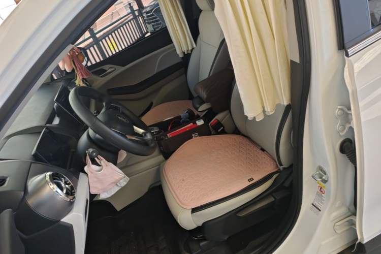 Used BYD Yuan Pro 2021 401 km Deluxe Version Left Front Seat