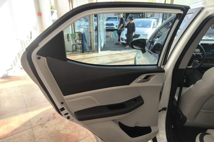 Used BYD Yuan Pro 2021 401 km Deluxe Version Left Rear Door Interior