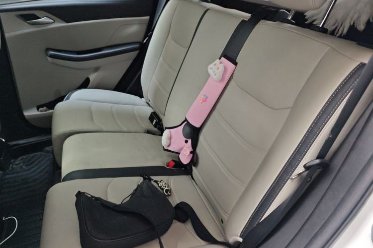 Used BYD Yuan Pro 2021 401 km Deluxe Version Left Rear Seat