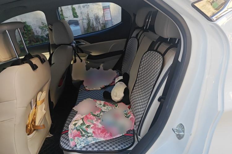 Used BYD Yuan Pro 2021 401 km Deluxe Version Left Rear Seat