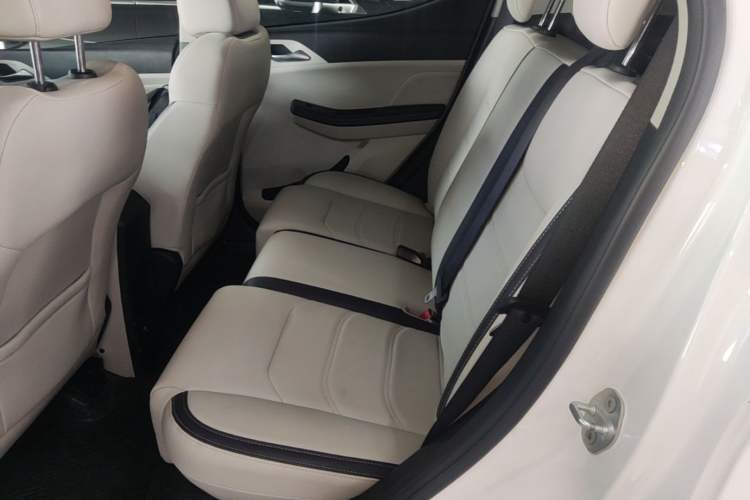 Used BYD Yuan Pro 2021 401 km Deluxe Version Left Rear Seat