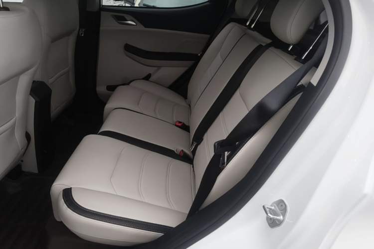 Used BYD Yuan Pro 2021 "Love for a Lifetime" Edition Left Rear Seat
