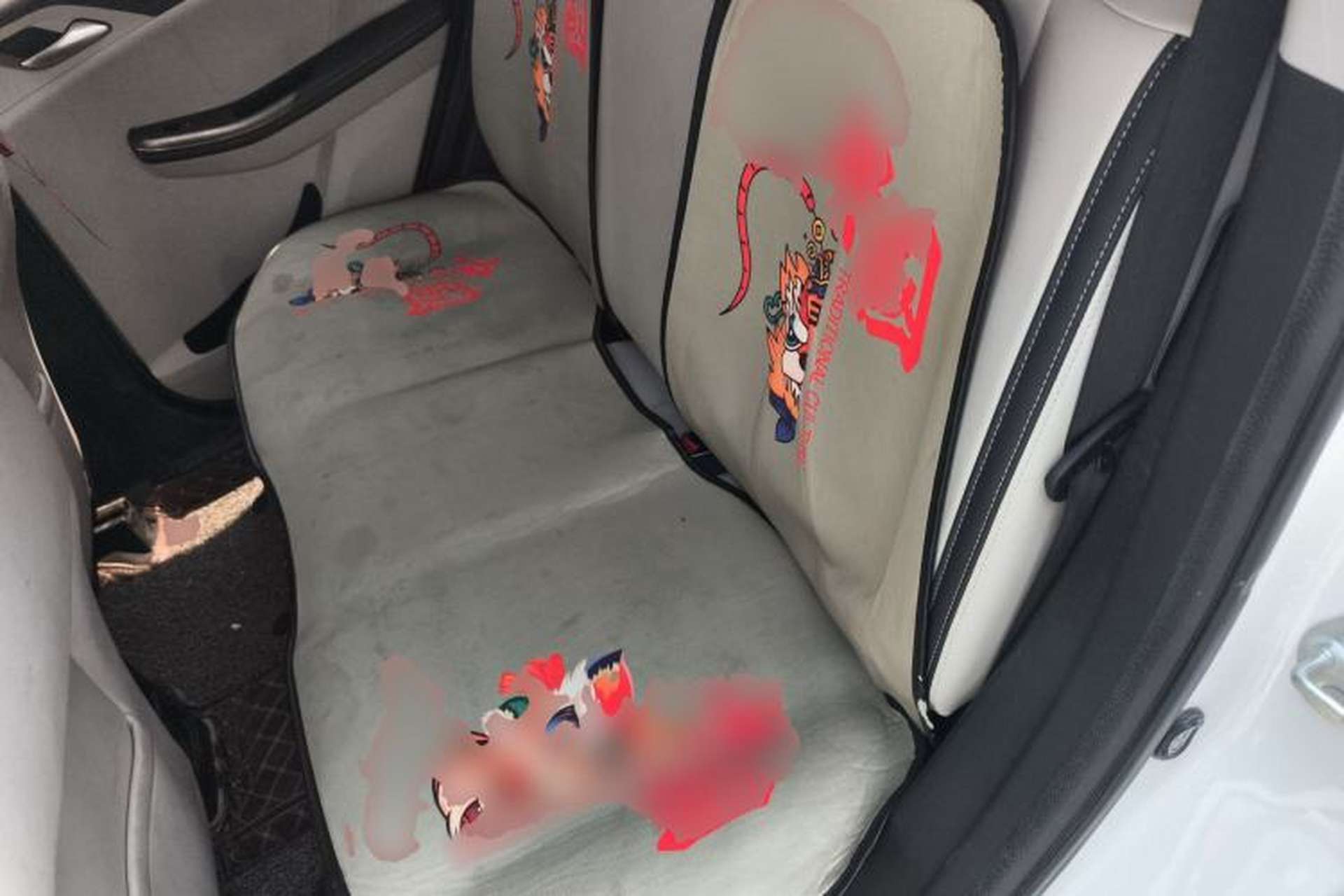 Used BYD Yuan Pro 2021 "Love for a Lifetime" Edition Left Rear Seat