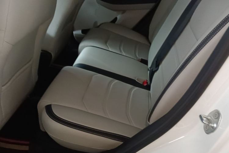 Used BYD Yuan Pro 2021 "Love for a Lifetime" Edition Left Rear Seat