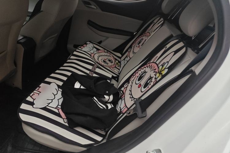 Used BYD Yuan Pro 2021 401 km Luxury Version Left Rear Seat