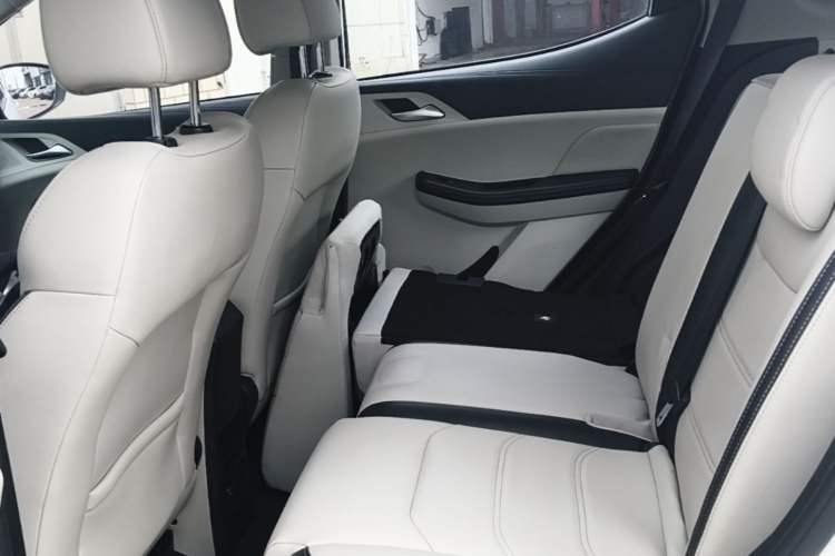 Used BYD Yuan Pro 2021 401 km Luxury Version Left Rear Seat