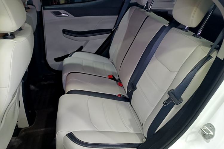 Used BYD Yuan Pro 2021 401 km Luxury Version Left Rear Seat